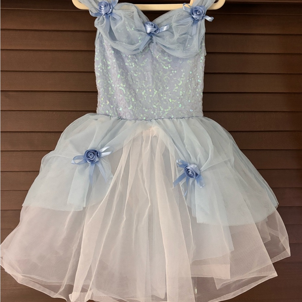 Blue Tulle Ballerina Dress with Floral Accents